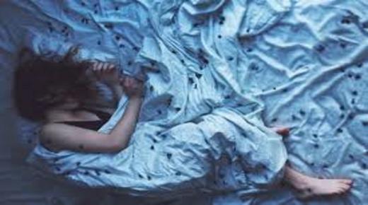 تفسير حلم الحشرات في المنام لابن شاهين والنابلسي