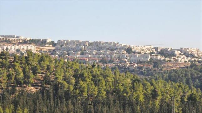 البيت الأبيض يصف الأنشطة الإستيطانية الإسرائيلية بأنها عامل غير مساعد لتحقيق السلام