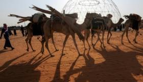 55 مليون دولار حصيلة جوائز مهرجان الملك عبد العزيز للإبل المقام في المملكة العربية السعودية