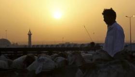 السعودية.. “سواطير الأضاحي” تتسبب في 7 إصابات