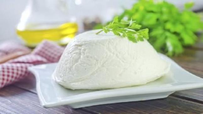 فوائد وأضرار الجبنة الريكوتا