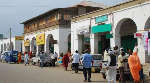 وزير الخارجية السوداني يطالب باعفاء السودان من الديون من أجل احلال الاستقرار