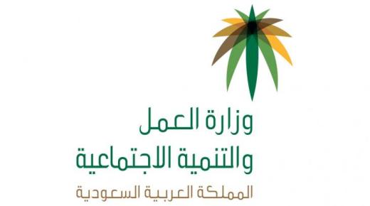 نظام الضمان الاجتماعي الجديد يحدد حالات لوقف صرف المعاش