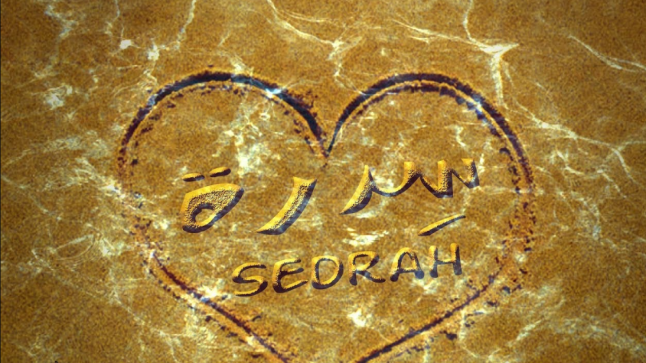 معنى اسم سدرة في اللغة العربية