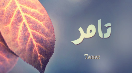 معنى اسم تامر في اللغة العربية