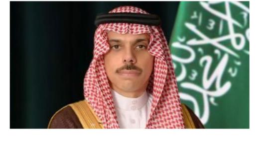 وزير الخارجية يعقد جلسة مباحثات رسمية مع نظيرة الروسي