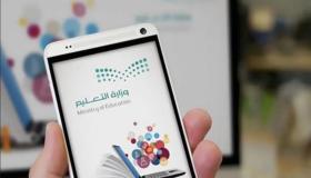 مستشار تربوي يتوقع آلية الدراسة بالعام الجديد.. ويدعو لخفض الرسوم