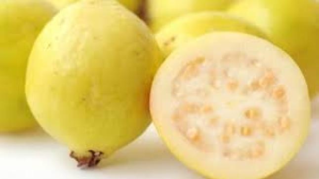 فوائد الجوافة الصحية