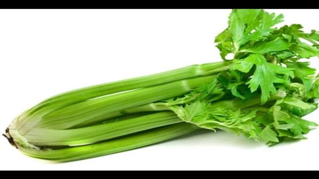 فوائد الكرفس الصحية