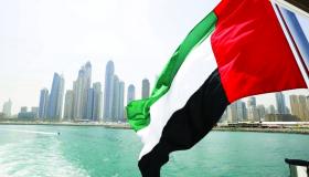 YAP .. أول منصة رقمية مستقلة في الإمارات