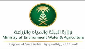 وزارة البيئة: شروط للحصول على إعانة صغار مربي الماشية شهريًا