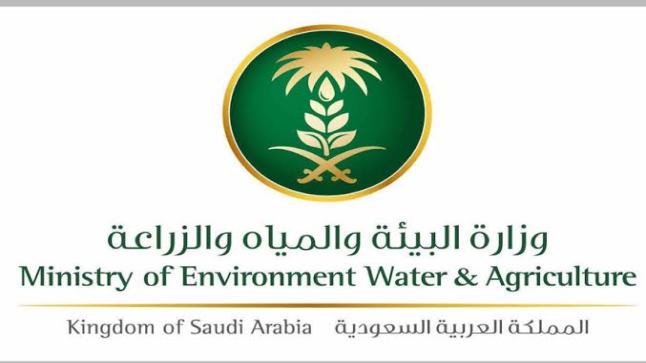 وزارة البيئة: شروط للحصول على إعانة صغار مربي الماشية شهريًا