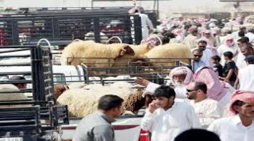 أمانة منطقة المدينة المنورة تعلن عن جاهزيتها لاستقبال عيد الأضحى المبارك