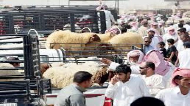 أمانة منطقة المدينة المنورة تعلن عن جاهزيتها لاستقبال عيد الأضحى المبارك