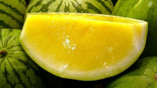 البطيخ الأصفر أهميته وفوائده