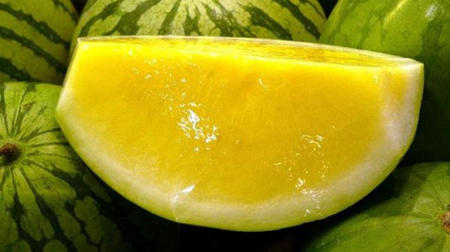 البطيخ الأصفر أهميته وفوائده