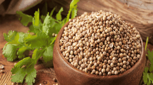 فوائد الكزبرة وقيمتها الغذائية