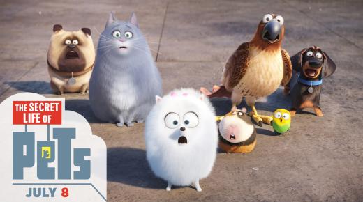اكزيبيتر ريليشنز تنشر قائمة الأفلام المتصدرة في البوكس أوفس