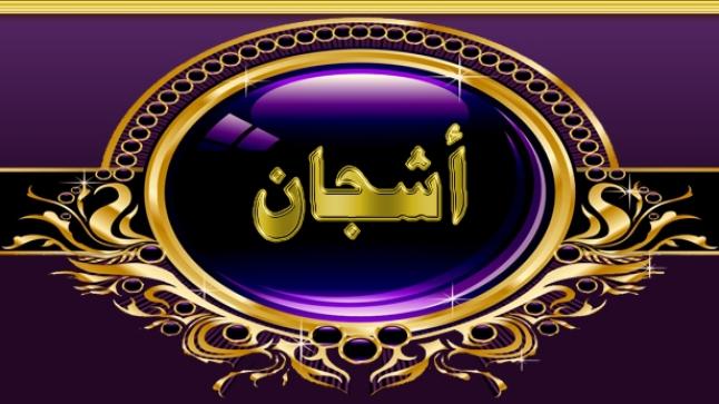 معنى اسم أشجان| صفات صاحبة هذا الاسم