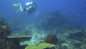 تعرف على افضل اماكن الغطس في تايلاند