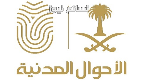 الأحوال المدنية تكشف أكثر أسماء المواليد تسجيلا وشيوعا في المملكة خلال سنة 1438 هـ .. تعرف على معنى أول إسمين