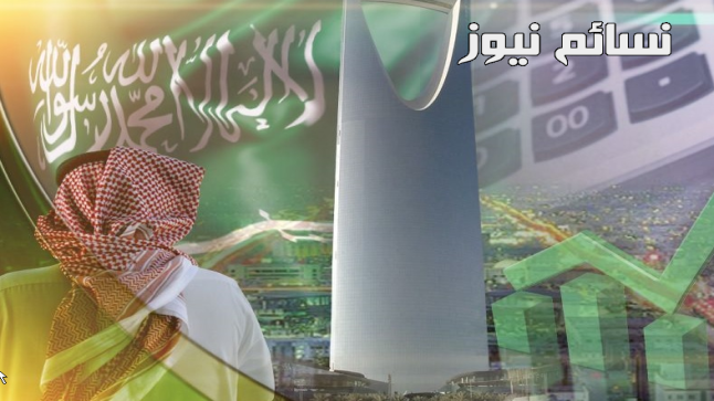 إعادة النظر في وتيرة تنفيذ خطة التصحيح الإقتصادي من المملكة حسب بيان صندوق النقد الدولي