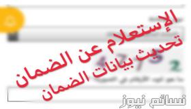 الاستعلام عن الضمان الاجتماعي برقم الهويه او الضمان او بالسجل المدني | استعلام رصيد المقطوعة في الضمان الاجتماعي السعودي