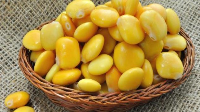 الترمس وفوائده