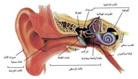 الأذن الداخلية | التهابها وأعراضه وأسبابه وكيفية العلاج