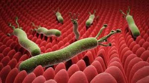 الجرثومة الغازية وعلاجها