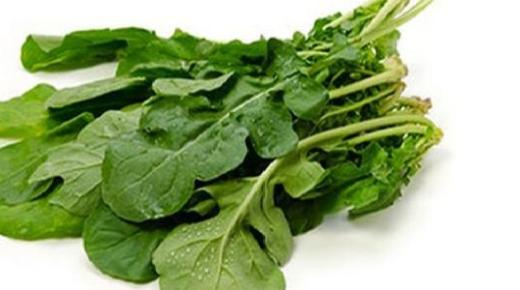 أضرار الجرجير والقيمة الغذائية