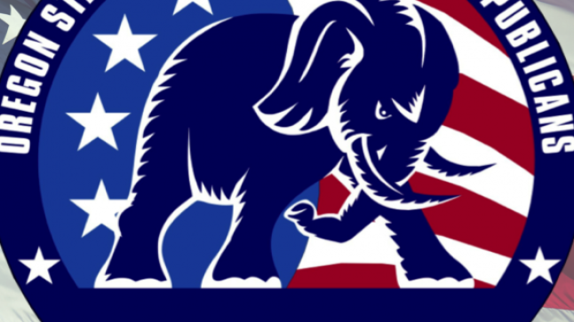 الحزب الجمهوري يسيطر على مجلسي النواب والشيوخ في الولايات المتحدة