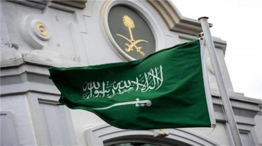 السعودية تستقبل أكبر سفينة حاويات في العالم تعمل بالغاز