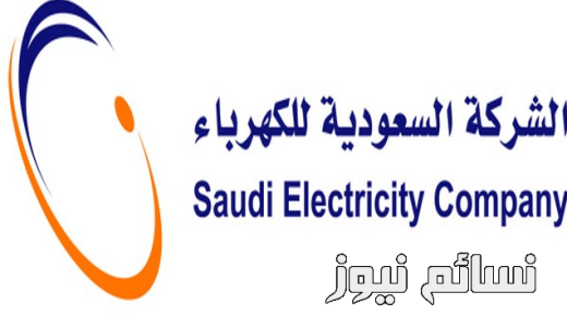 تحذيران من لجنة الإقتصاد والطاقة بمجلس الشورى وهيئة الكهرباء ترد بالأرقام