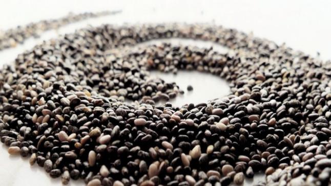 فوائد وأضرار الشيا