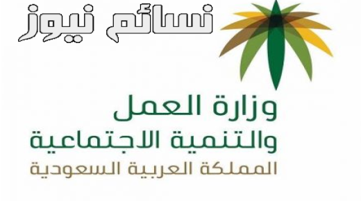 تعرف على عدد المسقطين من مستفيدي الضمان الإجتماعي والأسباب كاملة