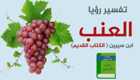 تفسير حلم العنب في المنام لابن سيرين
