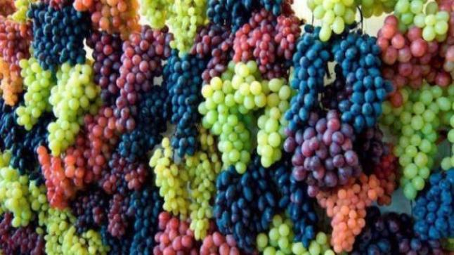 فوائد العنب الصحية
