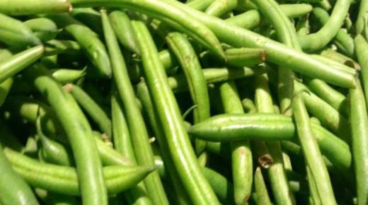 الفاصوليا الخضراء وفوائدها