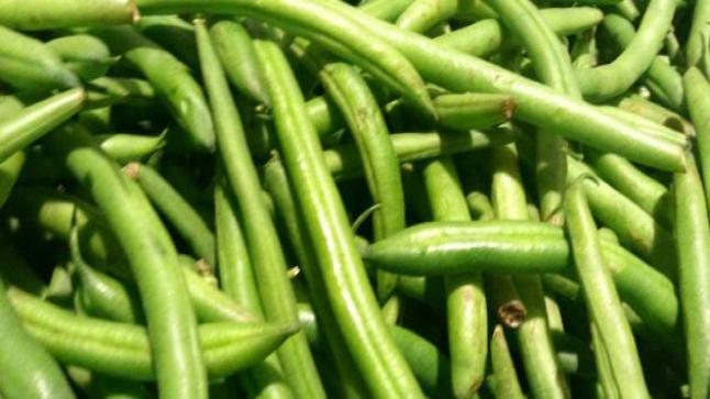 الفاصوليا الخضراء وفوائدها