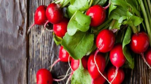 الفجل وفوائده الصحية