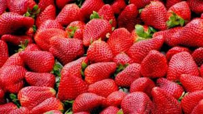 فوائد الفراولة للتخسيس