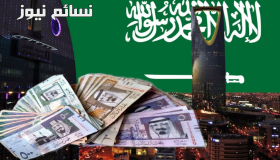 اللائحة التفيذية لضريبة القيمة المضافة .. تعرف عليها كاملة مع الإعفاءات في بعض الخدمات المالية