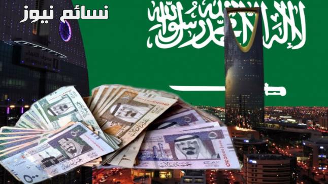 اللائحة التفيذية لضريبة القيمة المضافة .. تعرف عليها كاملة مع الإعفاءات في بعض الخدمات المالية