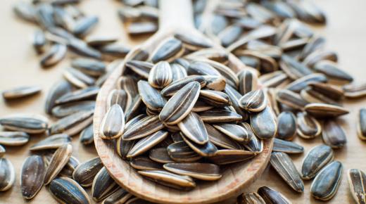 اللب السوري فوائده وأضراره