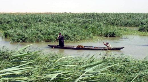 قوانين عراقية جديدة منتظرة لتحويل الأهوار إلى منتجعات سياحية