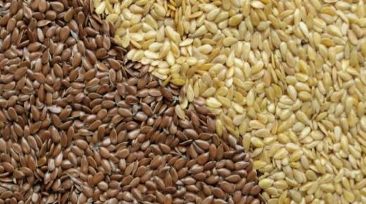 فوائد وأضرار بذور الكتان