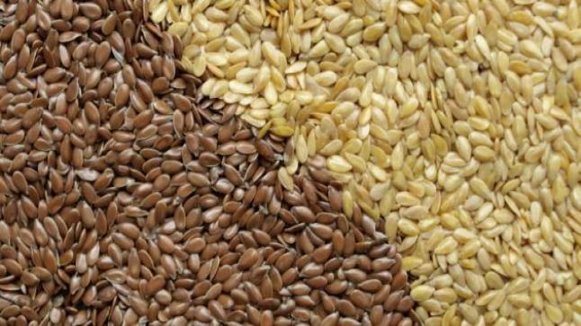 فوائد وأضرار بذور الكتان