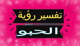 تفسير حلم الحبو في المنام