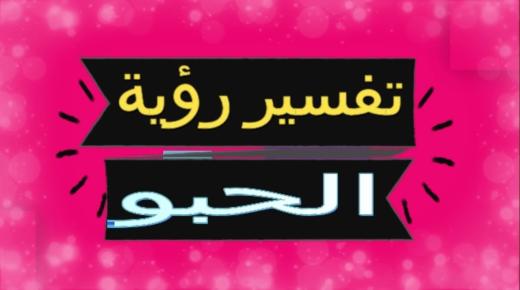 تفسير حلم الحبو في المنام